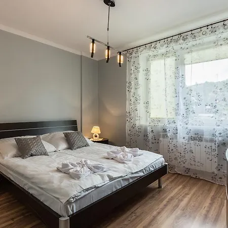 公寓 Apartament Rubinowy 考斯赛力克